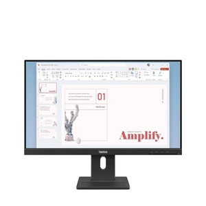 ThinkVision E24-40 FHD/IPS/DP 24'' Monitor