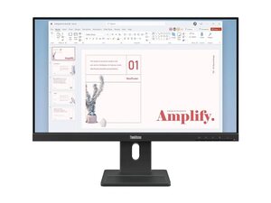 ThinkVision E24-40 FHD/IPS/DP 24'' Monitor