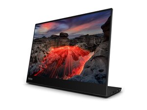 ThinkVision M14t Gen2 14
